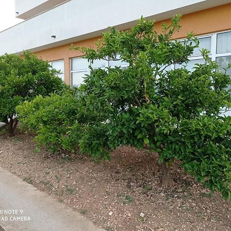 Studio Apartment With Balcony Trogir Buitenkant foto
